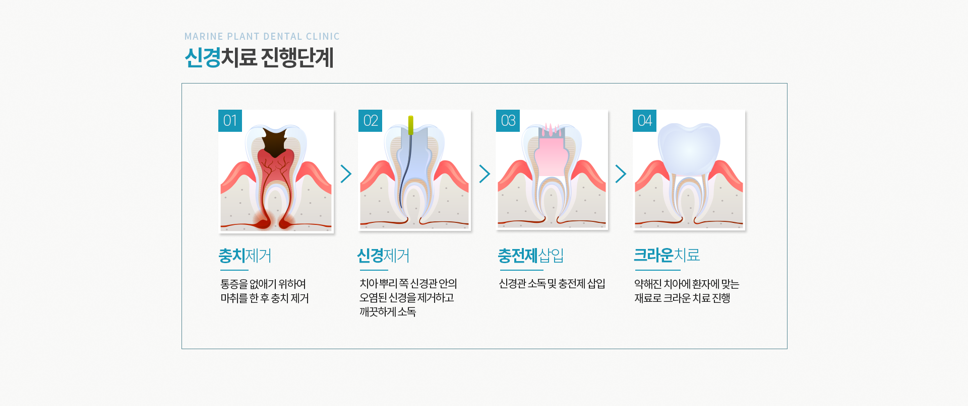 마린플란트 일반진료