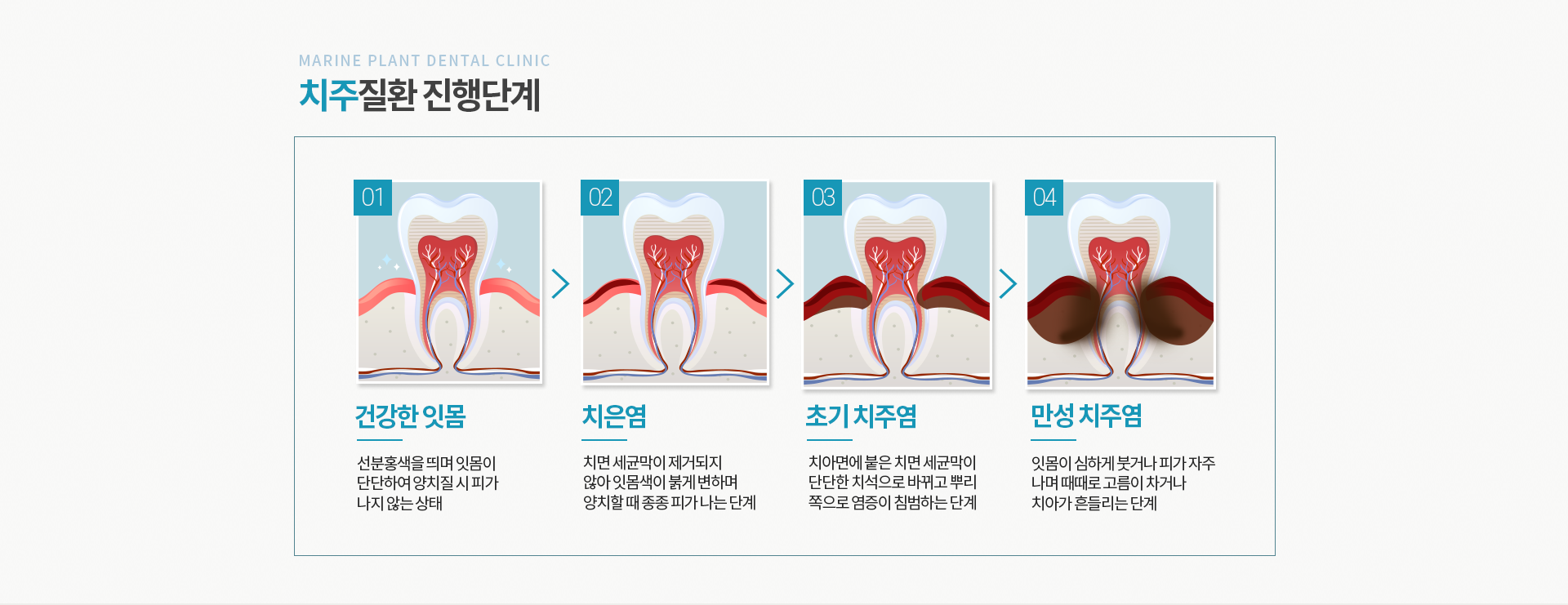 마린플란트 일반진료